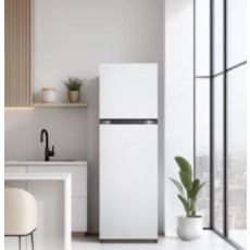 LG전자 ❭ 241L 2도어 일반냉장고 B245W22