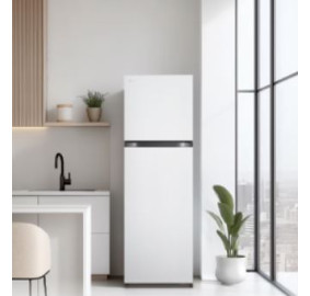 LG전자 ❭ 241L 2도어 일반냉장고 B245W22