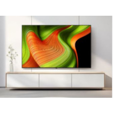 LG전자 ❭ 65인치 OLED TV OLED65B5F